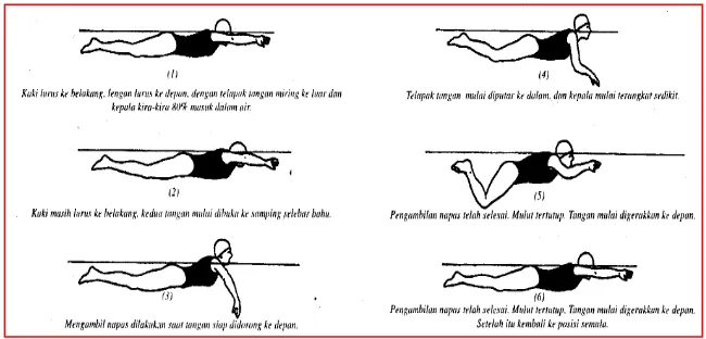 Gambar 7. Gerakan koordinasi gerakan kaki, tangan, dan pernapasan)  renang gaya dada 
