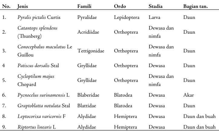 Tabel 1. Jenis Serangga yang ditemukan pada  tanaman kecondang di Kepulauan Karimunjawa 
