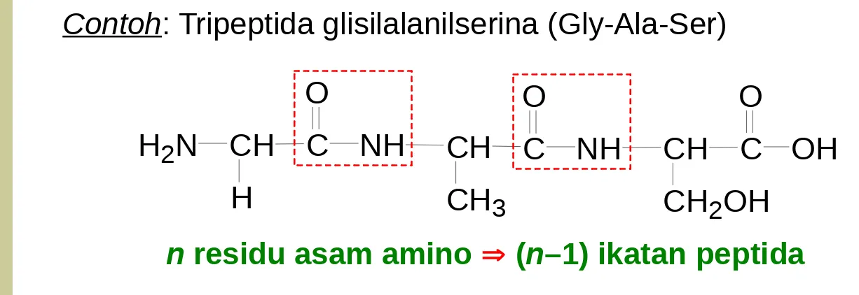 Gambarkan struktur tetrapeptida sisteiltreonilleusilmetionina jika rantai samping Cys = CH2SH, Thr = CH(OH)CH3, Leu = CH2CH(CH3)2, dan Met = CH2CH2SCH3