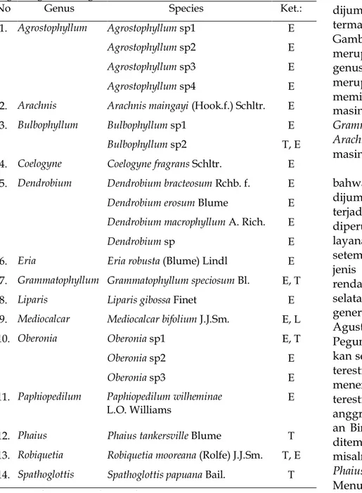 Tabel  1.  Jenis-jenis  anggrek  yang  dijumpai  di  Distrik  Oksibil,  Pegunungan Bintang