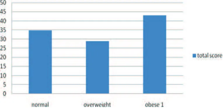 Figure 1 The Characteristics of BMI and Mean of WOMAC Score Index