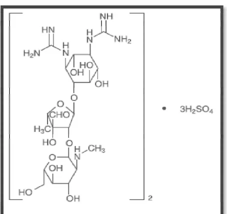 Gambar 2.5. Struktur formula streptomisin 
