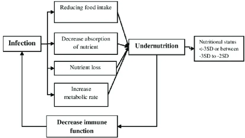 Figure 1 Undernutrition–infectious Disease Cycle