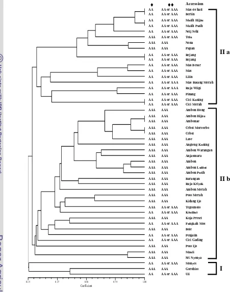 Figure 2.3 Dendrogram generated from analysis of the 48 accessions of pure acuminata cultivars using the 8 microsatellite primers