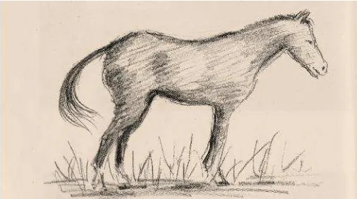 Gambar 3. Kuda 