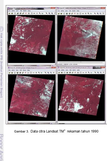 Gambar 3.  Data citra Landsat TM+  rekaman tahun 1990 