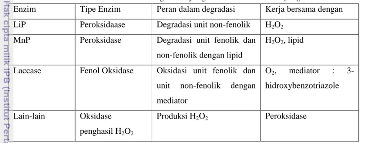 Tabel 1. Enzim Lignolitik yang Dihasilkan white –rot fungi 