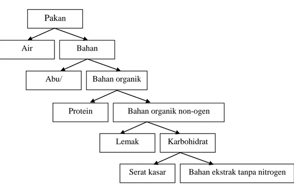 Gambar 5.  Bagan zat makanan dalam pakan menurut Metode Proksimat 