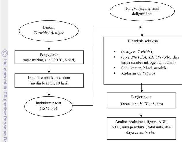 Gambar 8.   Diagram alir proses hidrolisis tongkol jagung terdelignifikasi dengan kapang  selulolitik