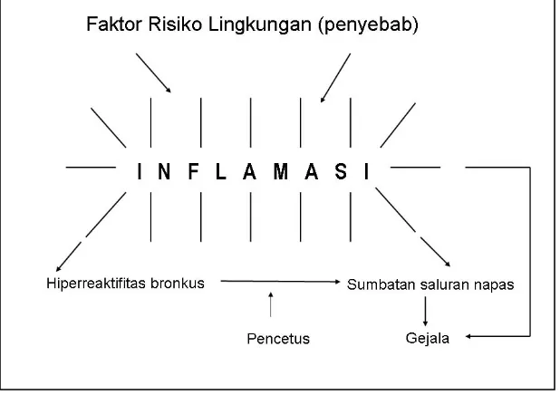 Gambar 1. Mekanisme Asma 