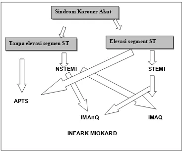 Gambar 1. Spektrum Sindrom Koroner Akut 