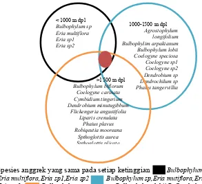 gambar 6b. 