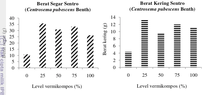 Gambar 6   Pengaruh vermikompos terhadap berat segar dan berat kering tanaman 