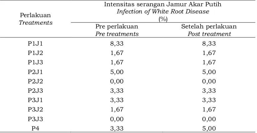 Tabel 2. Intensitas serangan jamur akar putih (JAP) di TBM 3Table 2. Intensity of white root disease infection in Immature Rubber year 3