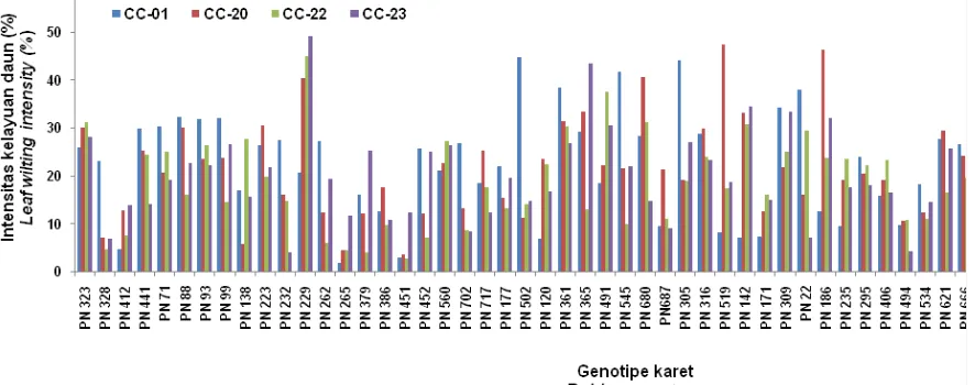 Gambar 1. Intensitas Kelayuan Daun (IKD) berbagai genotipe karet terhadap empat isolat C