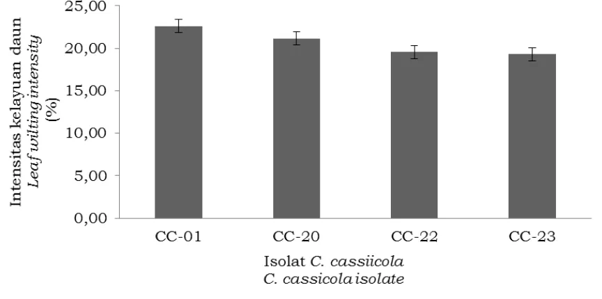 Gambar 2. Rata-rata Intensitas Kelayuan Daun genotipe PN 1981 pada empat isolat C. cassiicola