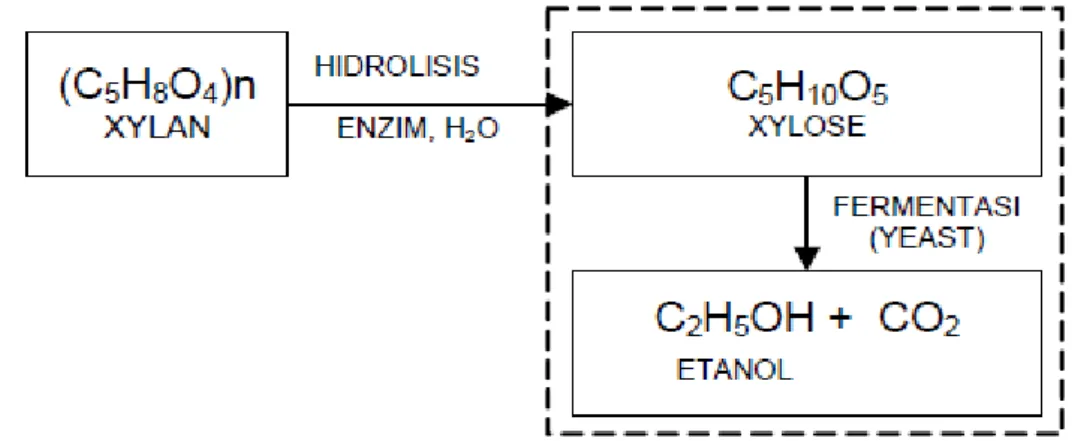 Gambar 4. Skema Reaksi Dalam Proses Hidrolisa Menggunakan Sistem  Enzimatik 