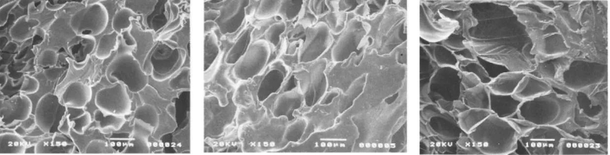 Gambar 3.  SEM foto diameter sel pada system PS-N 2   untuk temperatur 453 K tekanan (a) 12 MPa (b) 13 