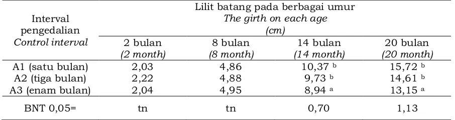 Tabel 6. Pengaruh interval waktu pengendalian gulma terhadap pertumbuhan lilit  batang tanaman karet     Table 6