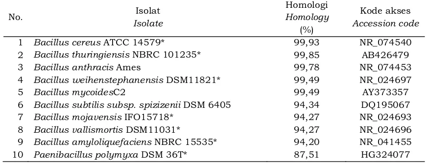 Tabel 3. Homologi sekuens gen 16S rRNA isolat A10 dengan menggunakan Program BLASTTable 3