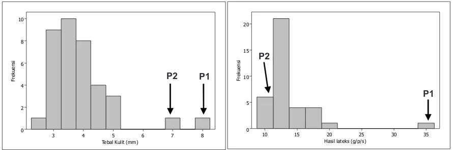 Gambar 2. Pola sebaran data  jumlah cabang primer  dan tinggi cabang pertama pada 35 genotipe hasil persilangan tetua klon  IAN 873 (P1) X PN 3760 (P2)Figure 2