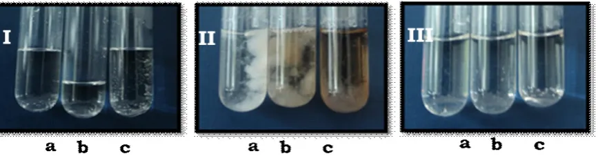 Gambar 5. Reaksi koagulan murni (I), serum (II) dan air rendaman koagulum (III) dengan  Figure 5