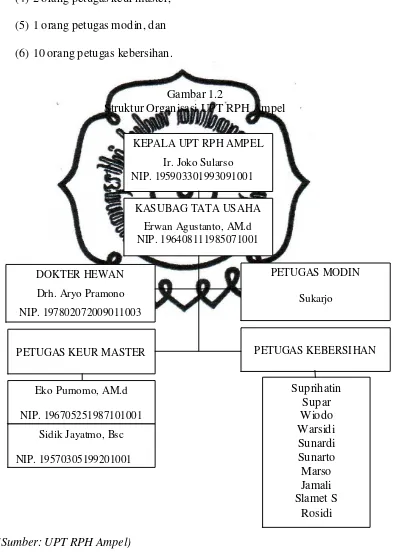 Gambar 1.2 Struktur Organisasi UPT RPH Ampel 