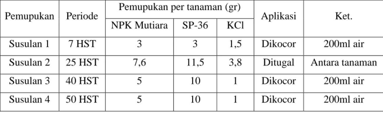 Tabel 3. 1 Pemupukan susulan tanaman mentimun 