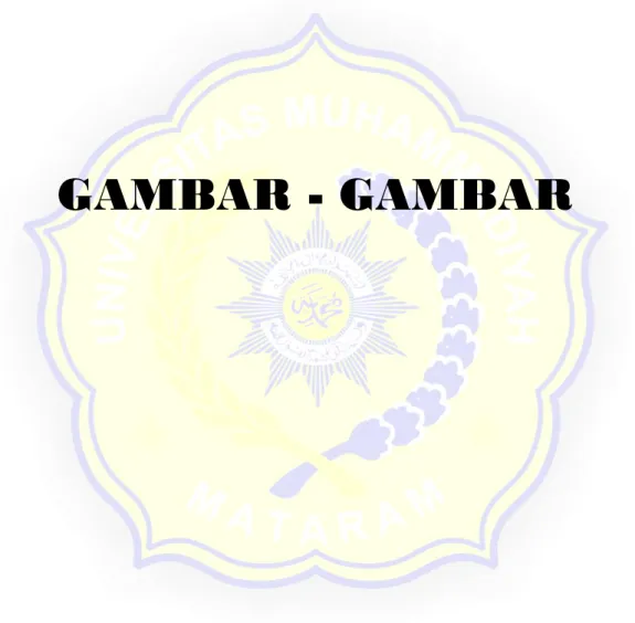 GAMBAR - GAMBAR 