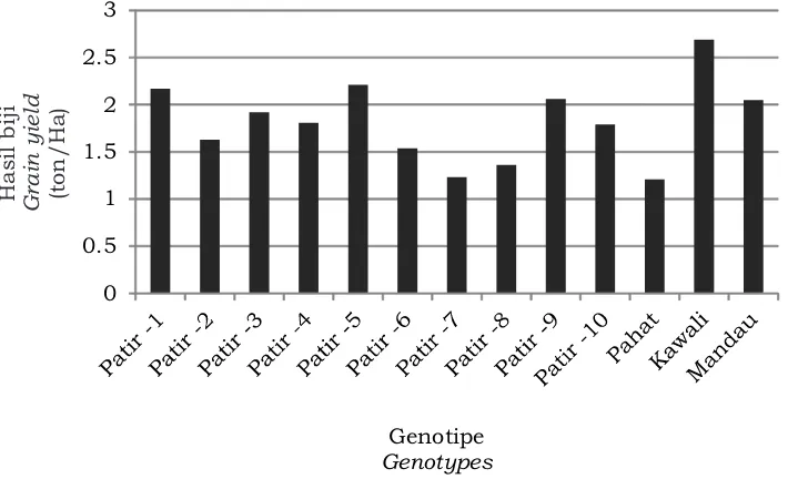 Tabel 5. Berat biji, berat 100 biji, dan hasil biji berbagai genotipe sorgum sebagai tanaman sela karet Table 5