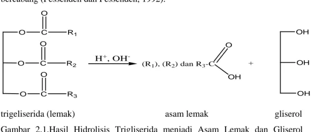 Gambar 2.1.Hasil Hidrolisis Trigliserida menjadi Asam Lemak dan Gliserol  (Bahl, 2004) 