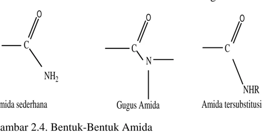 Gambar 2.5. Contoh Amida Siklik  (Riswiyanto, 2009). 