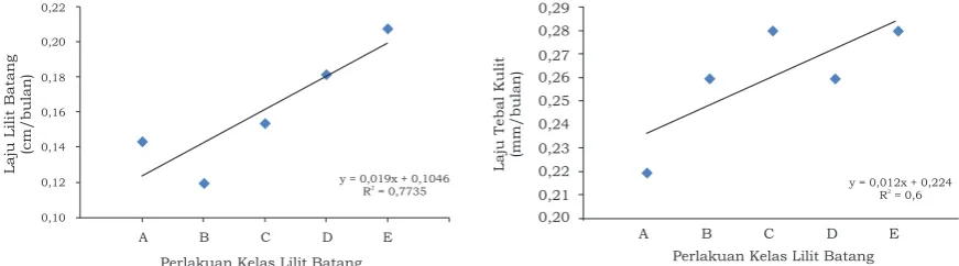 Gambar 1. Korelasi antara ukuran lilit batang saat buka sadap dengan laju pertumbuhan lilit batang dan tebal kulitFigure 1
