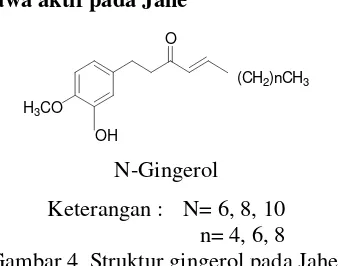 Gambar 4  Struktur gingerol pada Jahe. 