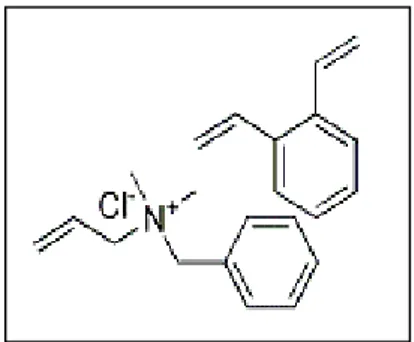Gambar 1. Struktur molekul IRA-400 (CL) [8,9] 