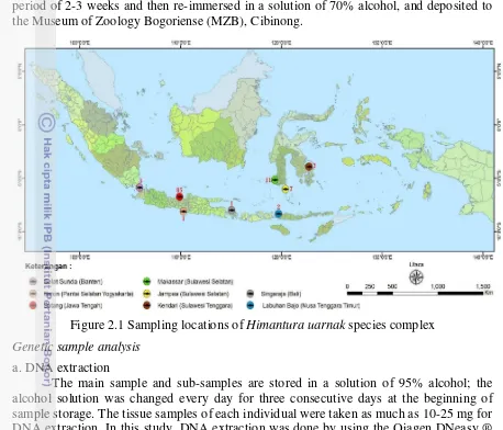 Figure 2.1 Sampling locations of Himantura uarnak species complex 