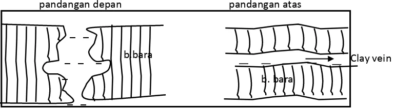 Gambar 2.1 Lapisan Batubara Bentuk Horse Back 