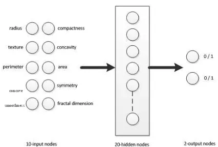 Figure 2 Neural Network Architecture 