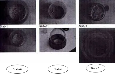 Gambar 2: menunjukkan bentuk isik dan warna stabilizer masing-masing. Stab-1, Stab-2 dan Stab-3 diperoleh sebagai amorphous bubuk