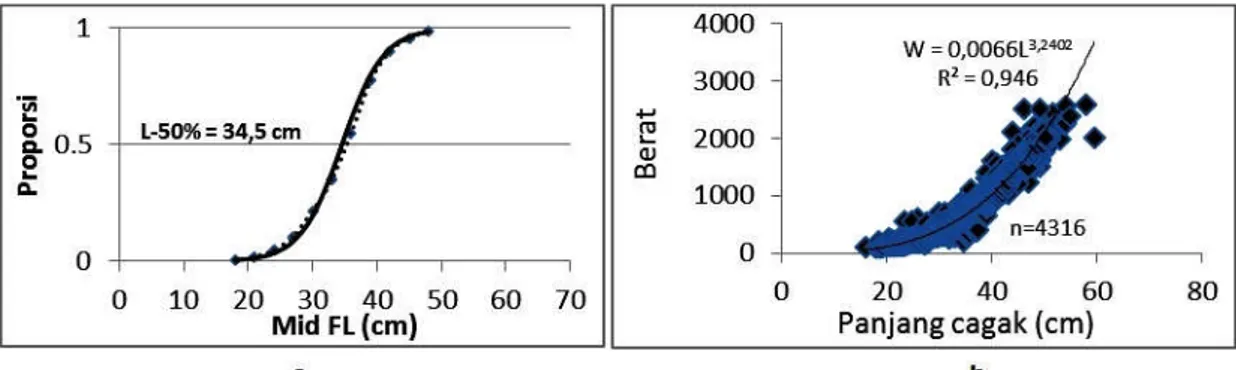 Gambar 3. a) Ukuran pertama tertangkap dan b) hubungan panjang-berat ikan tongkol komo dari Selat Malaka Figure 3