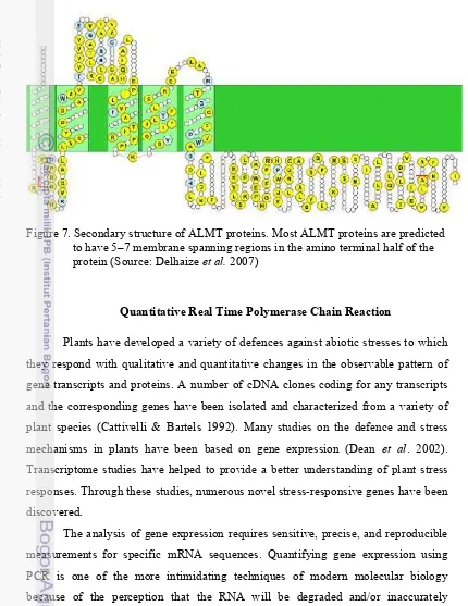 Figure 7. Secondary structure of ALMT proteins. Most ALMT proteins are predicted 