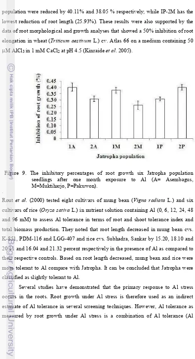 Figure 9. The inhibitory percentages of root growth six Jatropha population 