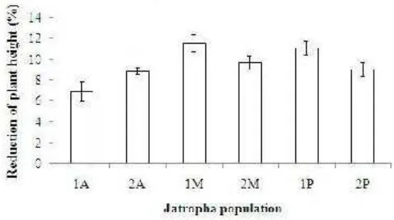 Figure 10. The reduction percentages of plant height six Jatropha population 
