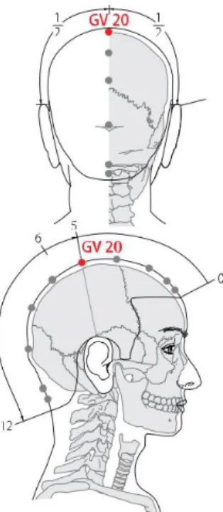 Gambar  2.1 Titik  Akupunktur  GV 20 (Baihui)(WHO,  2007) 