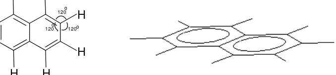 Gambar  Struktur Naftalena 