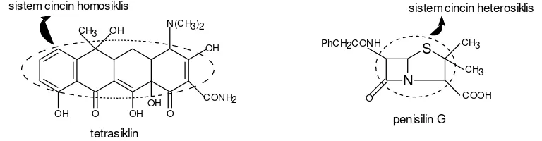 Gambar. Contoh senyawa polisiklis homosiklis dan heterosiklis 