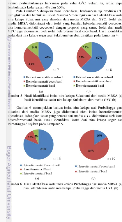 Gambar 5  Hasil identifikasi isolat nira kelapa Sukabumi dari media MRSA (a); 