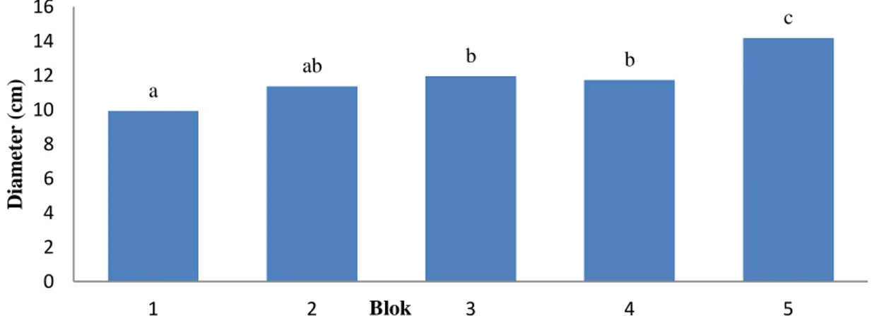 Gambar 4. Grafik uji perbandingan berganda duncan pengaruh blok terhadap diameter  spesies Meranti (cm)(Graph duncan's multiple range test effect block to the 