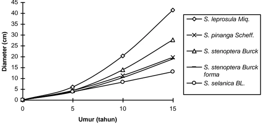 Gambar 4.  Kurva regresi antara umur dan diameter tanaman meranti. 