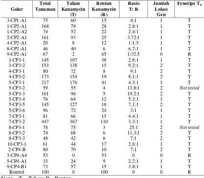 Tabel 2. Hasil uji segregasi gen nptII pada tanaman transgenik T1